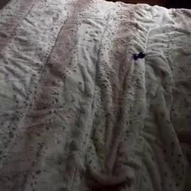Emily Rinaudo – Sex Tape