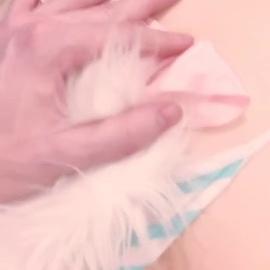 Lana Bee Pov Bathroom Doggy